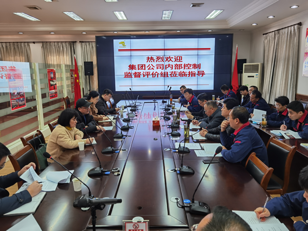 集團(tuán)公司到公司開展內(nèi)控自評(píng)檢查工作